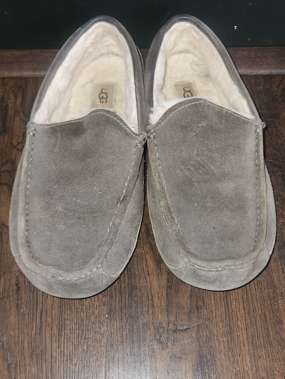 UGG Men's Suede Ascots
